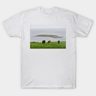 Pladda lighthouse on Pladda near the coast of Isle of Arran, Scotland T-Shirt